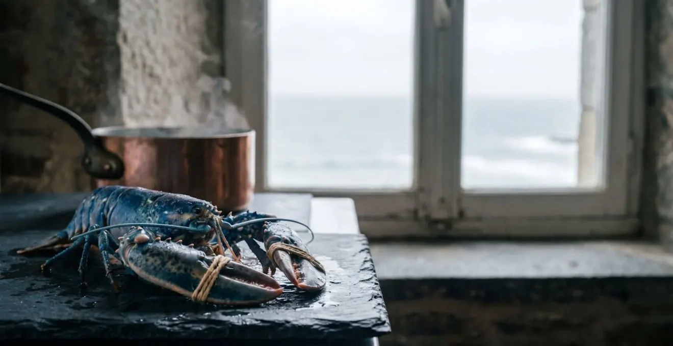 Homard bleu breton vivant pose sur une table en ardoise avant une cuisson maitrisee dans une cuisine bretonne