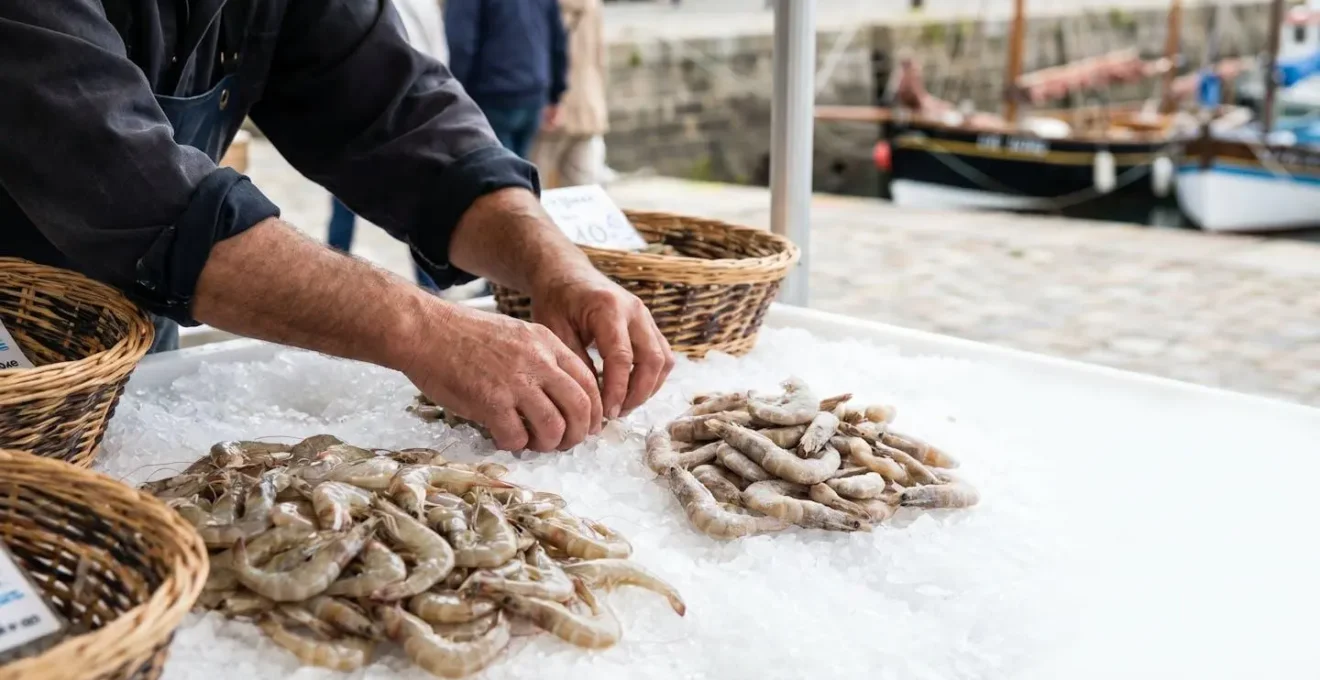 Étal de poissonnerie à Brest avec des crevettes translucides fraîches et des crevettes plus opaques côte à côte sur un lit de glace