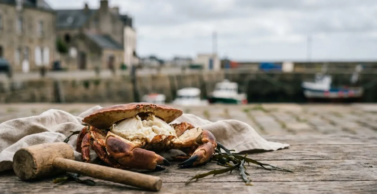 Tourteau entier fraîchement décortiqué sur une table en bois, avec ses pinces ouvertes et sa chair blanche mise en valeur, dans une ambiance portuaire bretonne